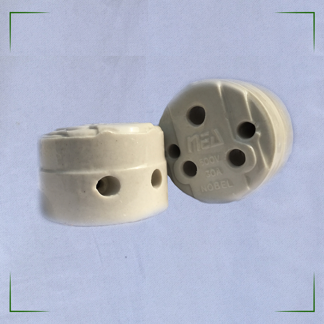 20 amp Full porcelain socket